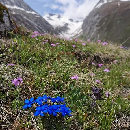 Tgesa Dutg Grond 公寓 *