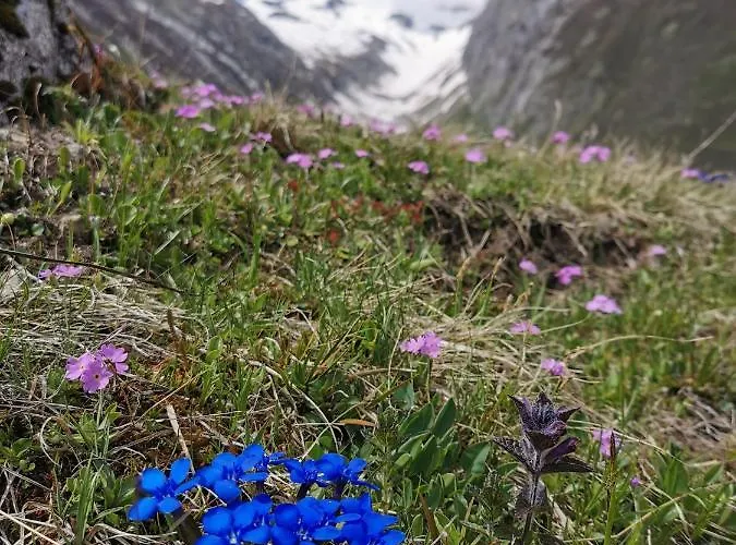 Tgesa Dutg Grond Appartement *