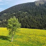 Tgesa Dutg Grond * Sedrun