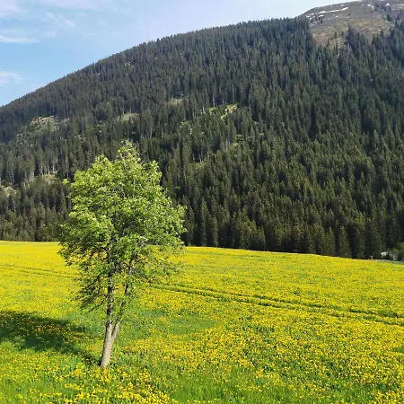 Tgesa Dutg Grond * Sedrun