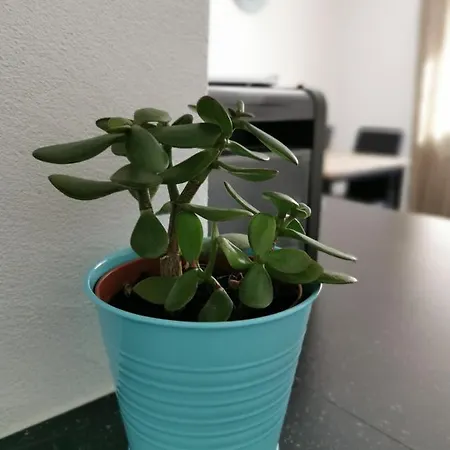 Tgesa Dutg Grond * Sedrun