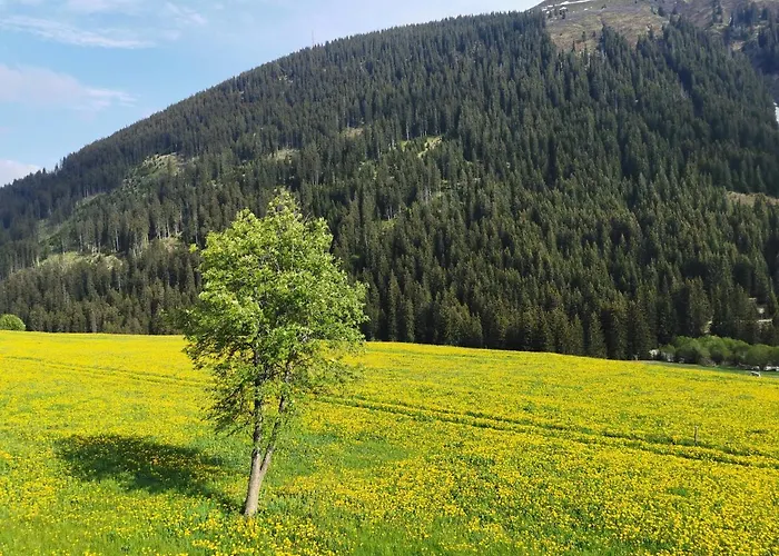 Tgesa Dutg Grond * Sedrun